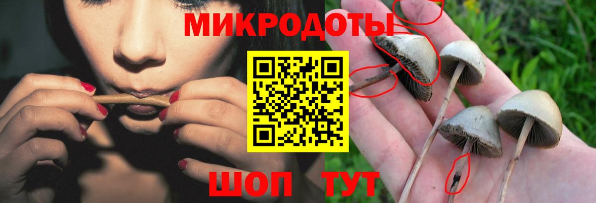 Псилоцибиновые грибы мицелий  Вход с VPN  Соль-Илецк 
